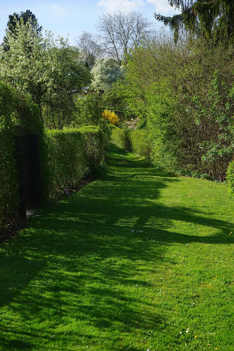 Community Allotments